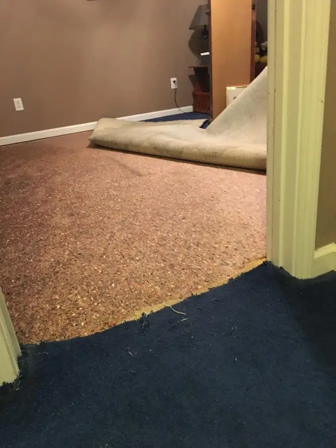 Carpet pad removal revealing water damage during Water Mitigation Services in White Marsh