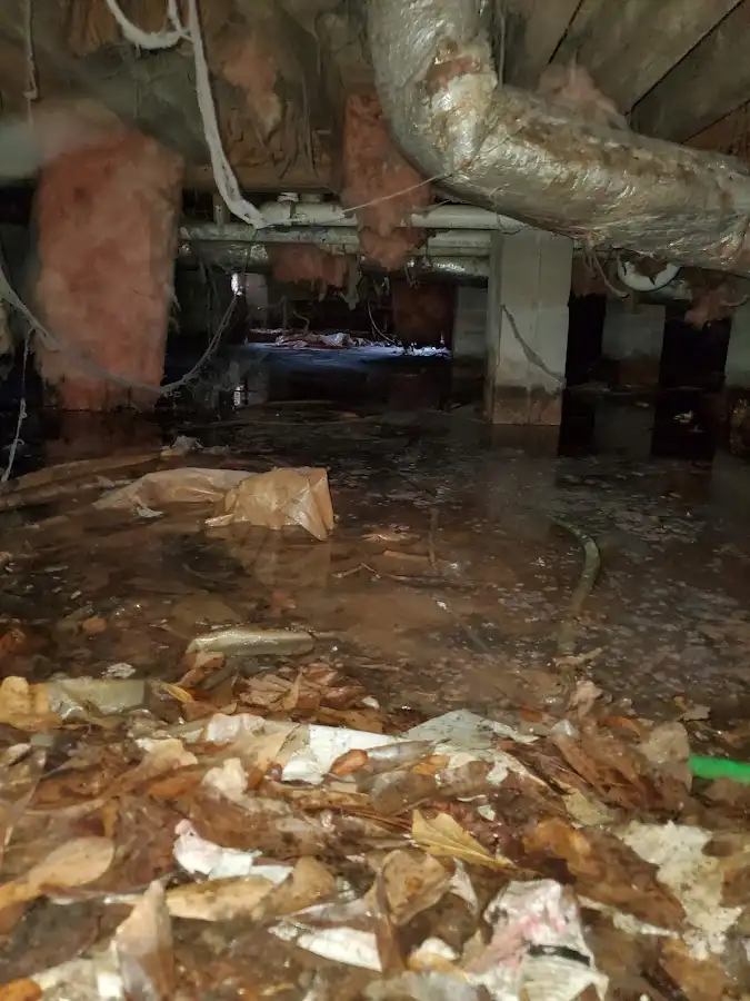 Crawl space flood assessment for Leak Detection & Repair in White Marsh