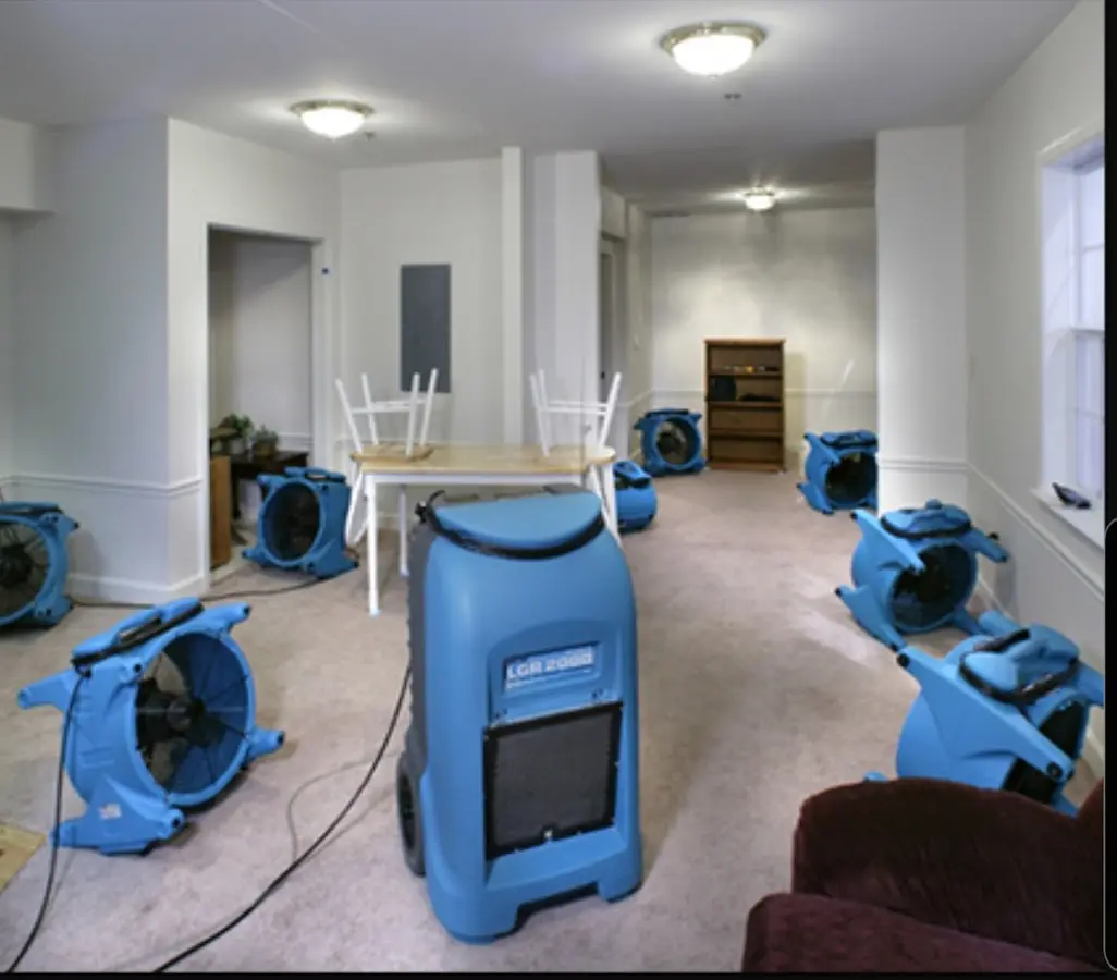 Air movers and dehumidifier setup for Water Extraction & Removal in White Marsh